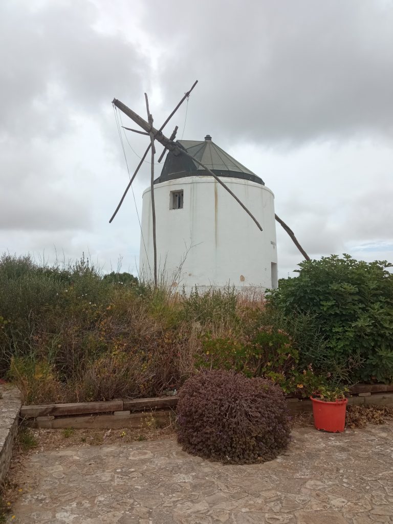 Molinos de Viento-Vejer
