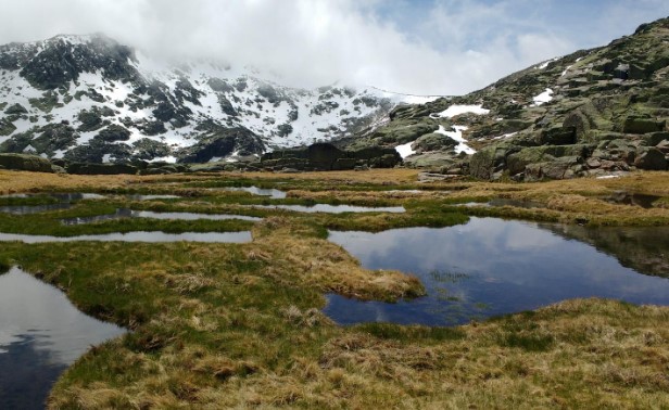 Lagunas del Trampal