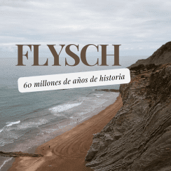 ZUMAIA, UN PUEBLO CON 8 APELLIDOS VASCOS