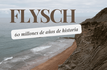 ZUMAIA, UN PUEBLO CON 8 APELLIDOS VASCOS ZUMAIA, UN PUEBLO CON 8 APELLIDOS VASCOS