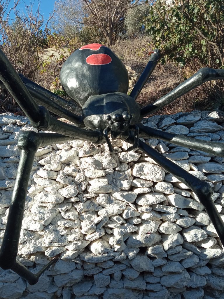 Araña Tejedora