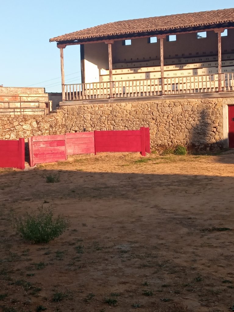 Plaza de toros de S. Martín 3