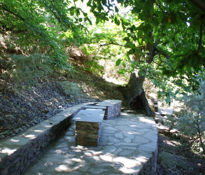 Ruta del Castañar 1
