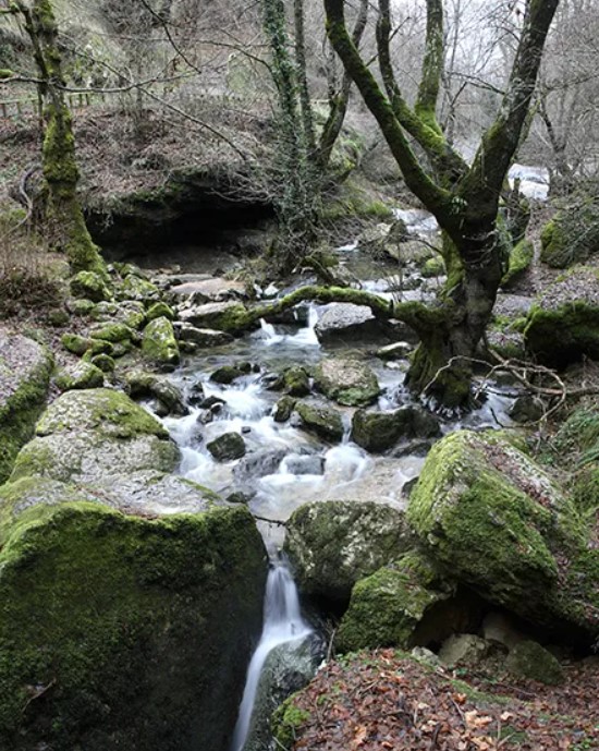 Sumidero del río Guareña