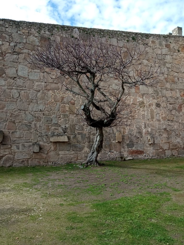 Castillo de Trujillo 2