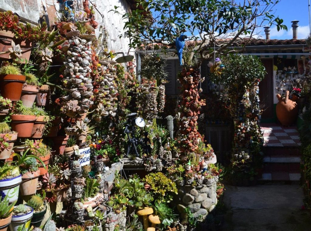 Patio de los Cactus 2