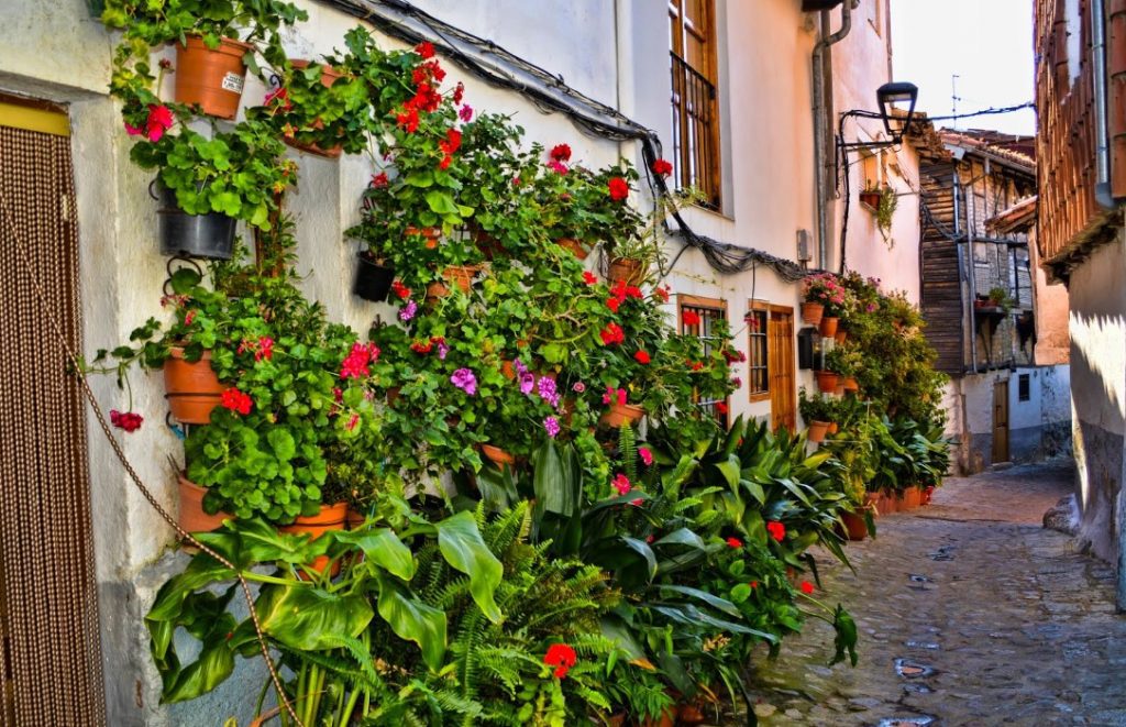 calle Rabilero