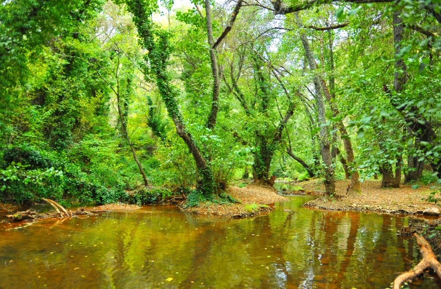 Nacimiento del Huéznar 5