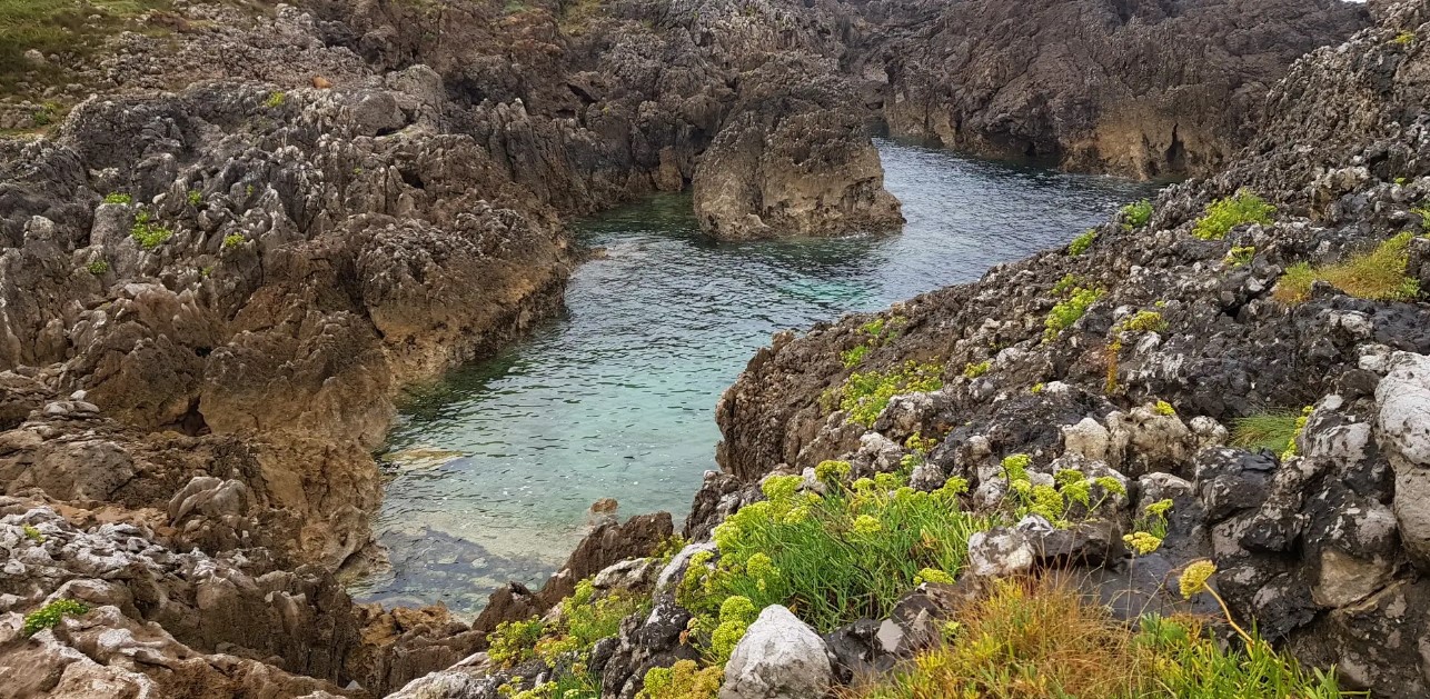 Ensenada de Onzapera 2
