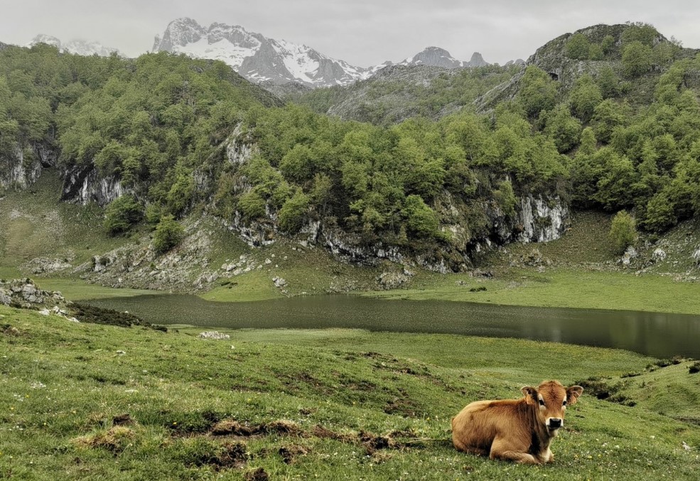 lago El Bricial