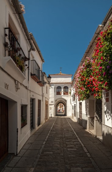 Callejita del Clavel
