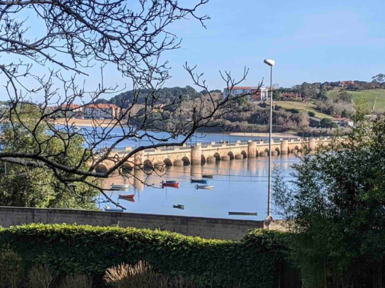 Puente de la Maza 2