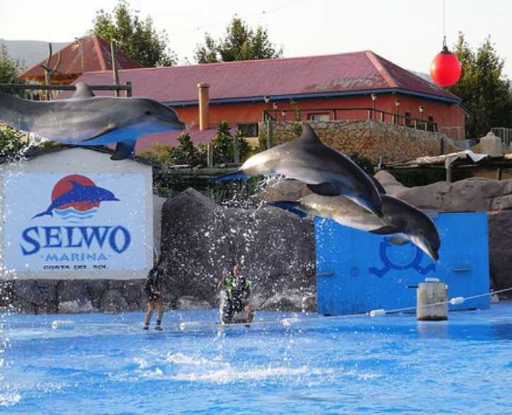 Selwo Marina Delfinario