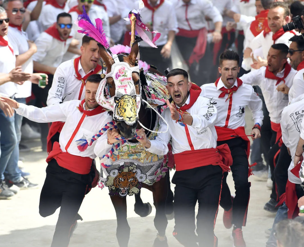 Carrera de los Caballos del Vino