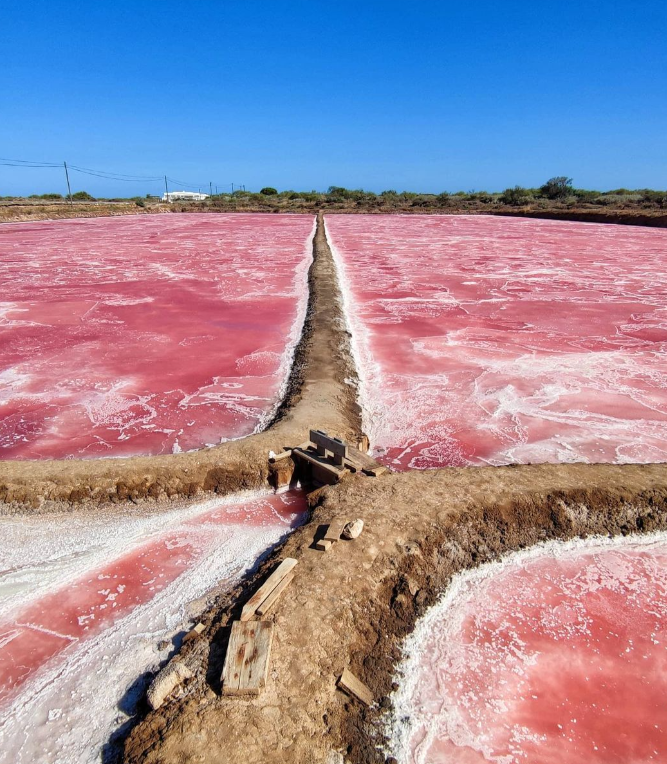 Salinas de Tavira
