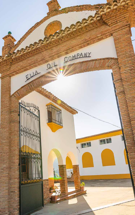 Cortijo andaluz Nuve Olivo