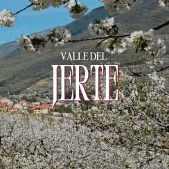 VALLE DEL JERTE, EL MANTO BLANCO DE LA PRIMAVERA
