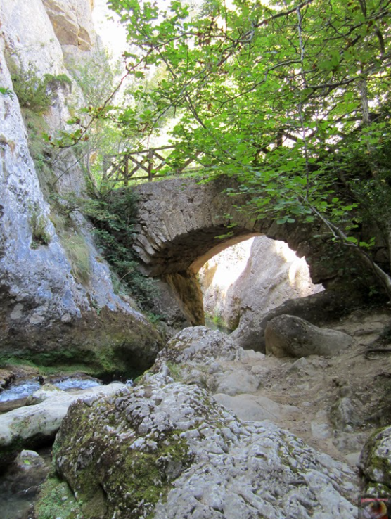 Desfiladero del Río Purón