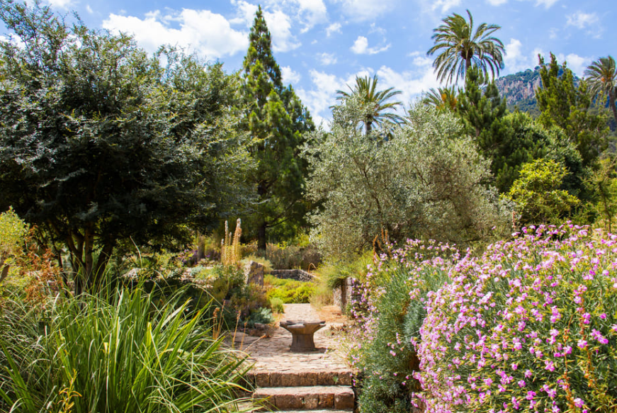 Museo Balear de Ciencias Naturales y Jardín Botánico