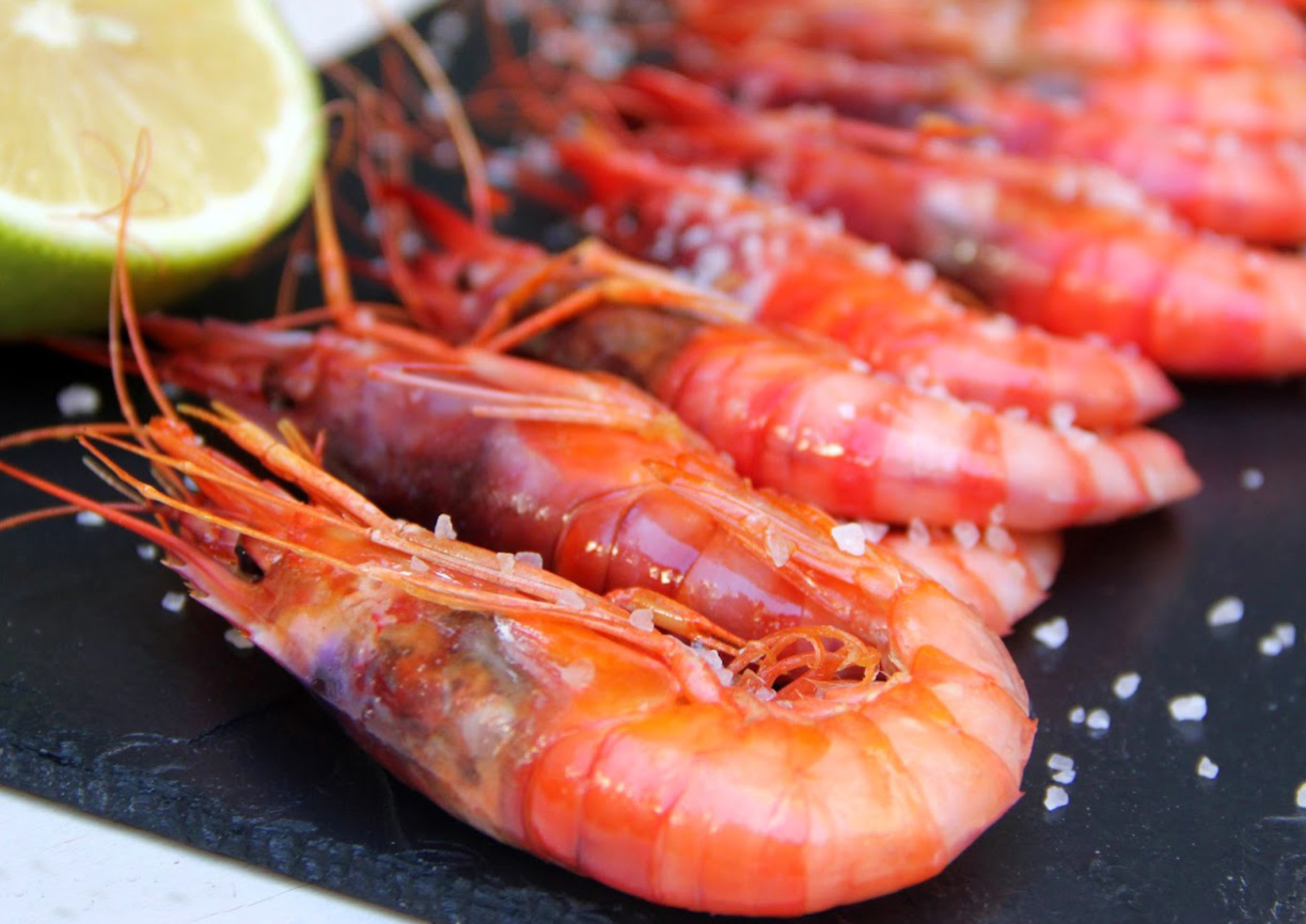 gamba roja