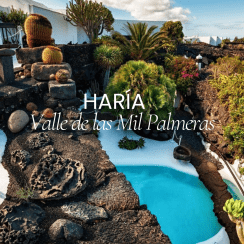 HARÍA, EL VALLE DE LAS MIL PALMERAS