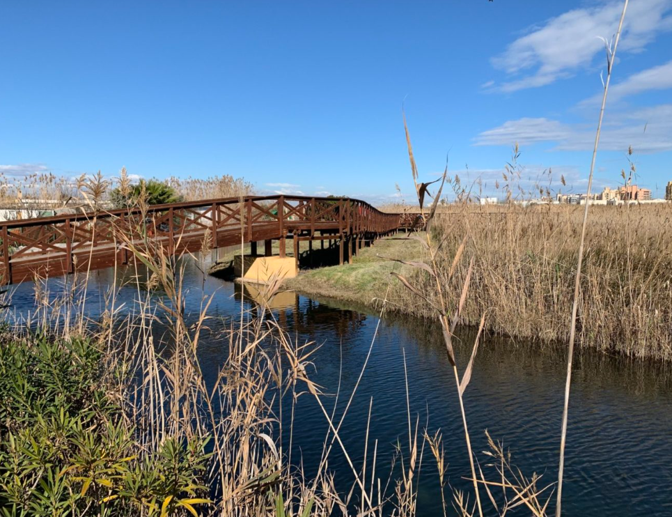 Marjal de Peñíscola