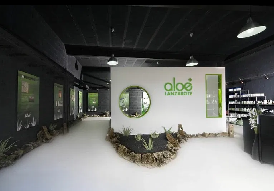 Museo del Aloe Vera