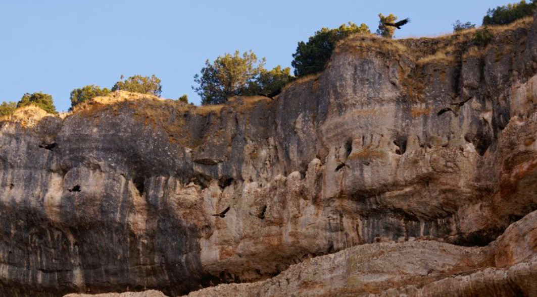 Parque Natural Sabinares del Arlanza