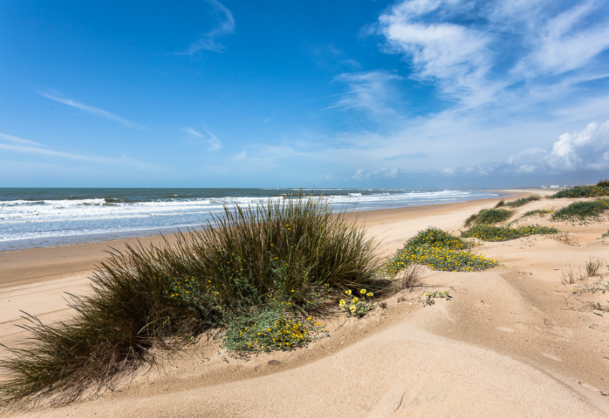 Playa de La Bota 3