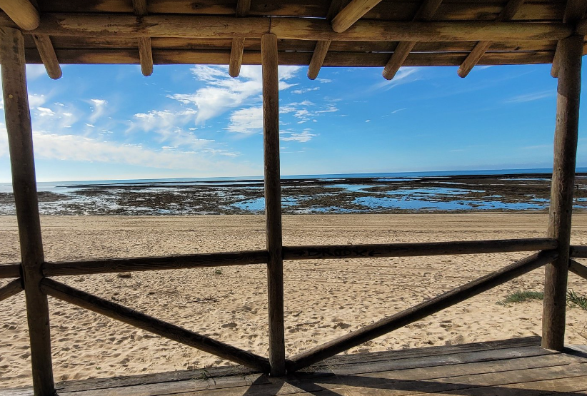 Playa de los Corrales 2