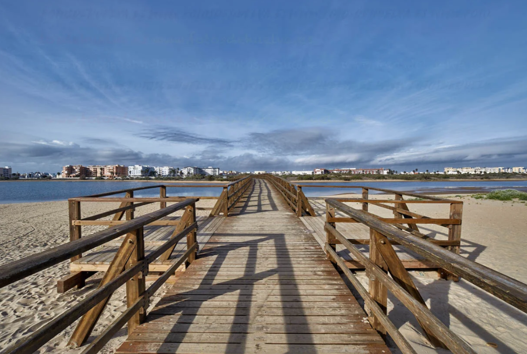 Punta del Caimán