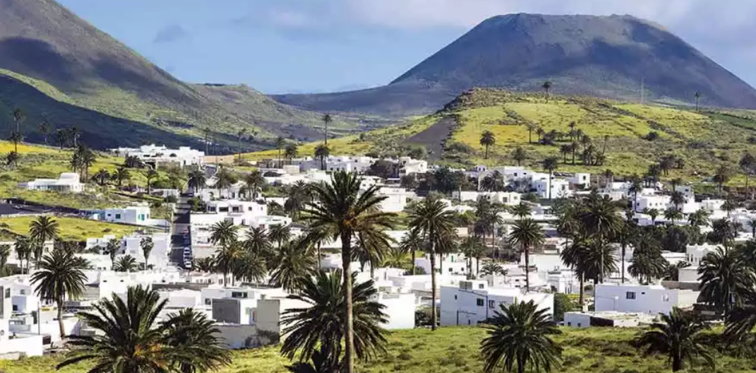 Valle de las Mil Palmeras