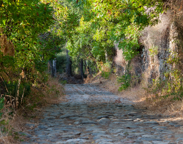 Calzada romana 2