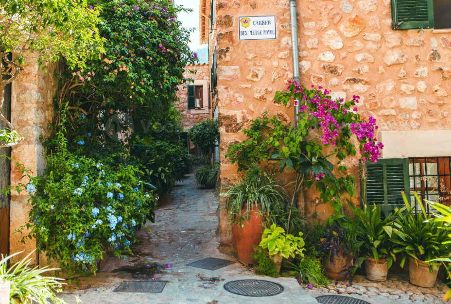Carrer des Metge Mayol 1