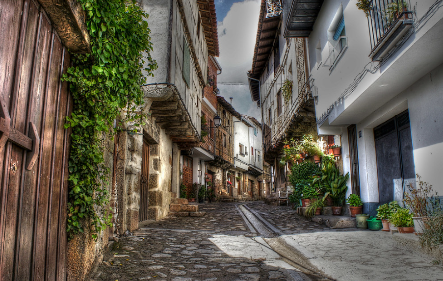 Arte floral en San Martín de Trevejo 1