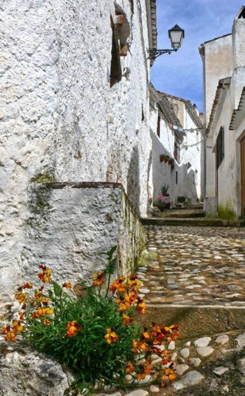 Calle Caballeros Santiaguistas 2