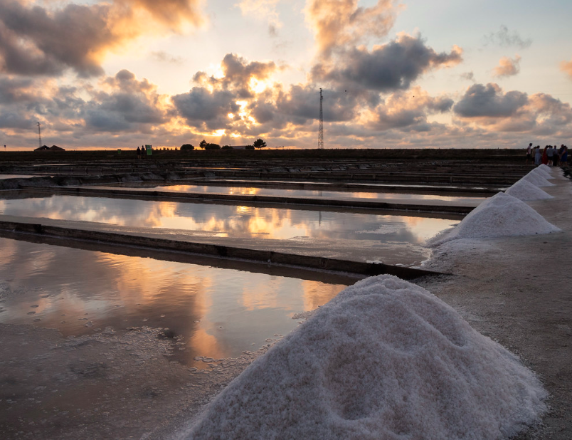 Salinas de Aveiro