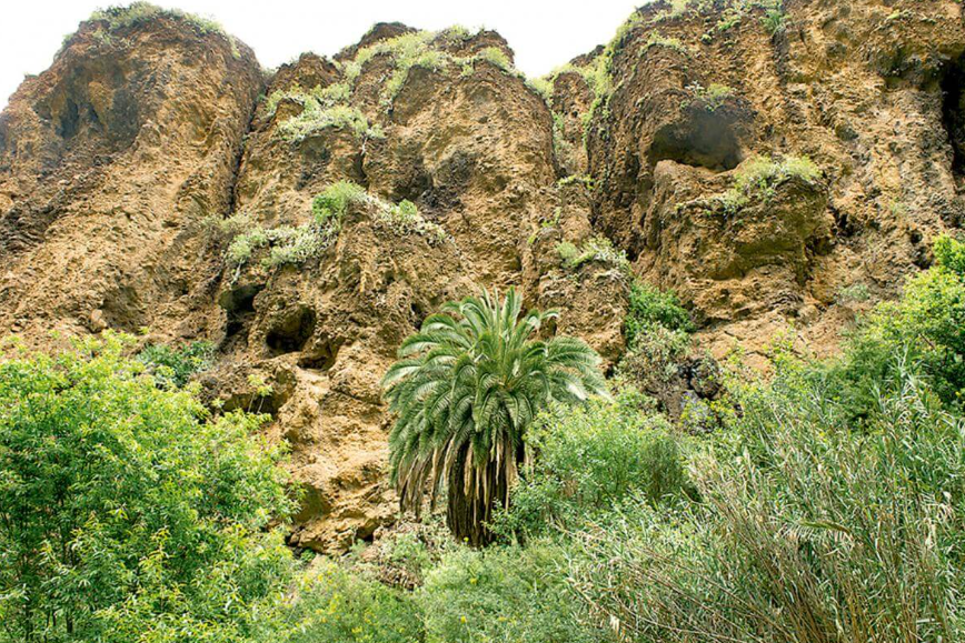 Barranco de Azuaje