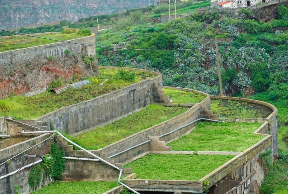 Berreras del Pago de San Antón