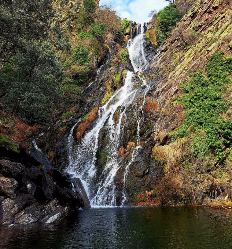Chorrituelo de Ovejuela