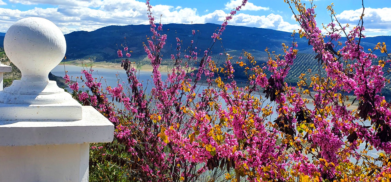 Miradores de Iznájar