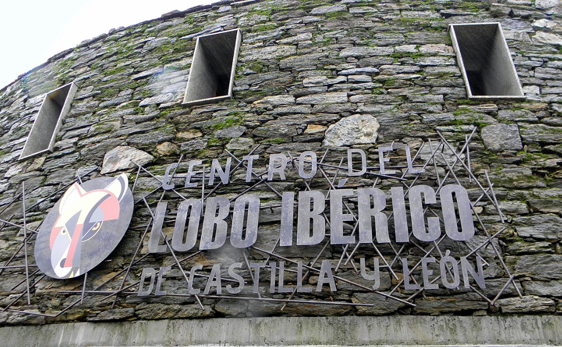 Centro del Lobo Ibérico de Castilla y León