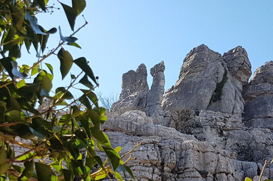 El Camello del Torcal