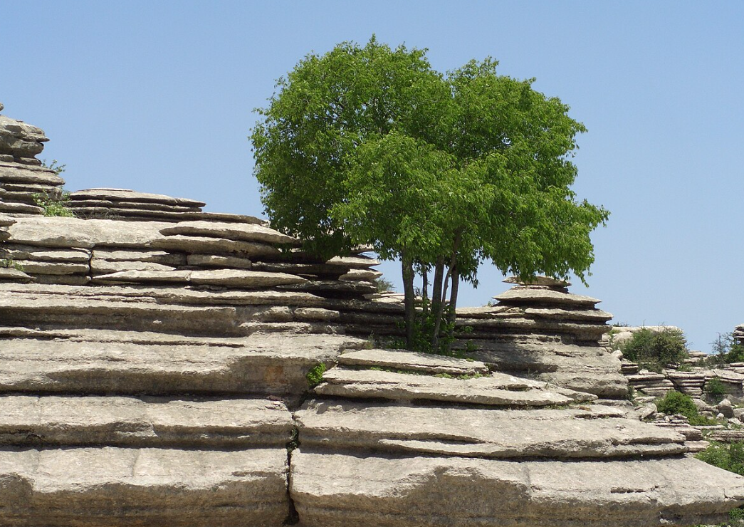 El Torcal de Antequera