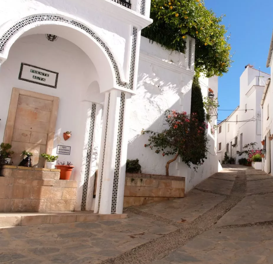 Fuente Alta